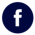icon facebook
